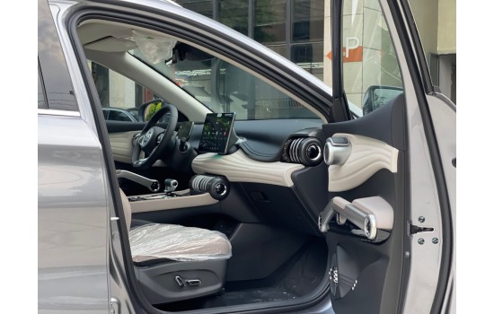 BYD Yuan Plus Grey 2024